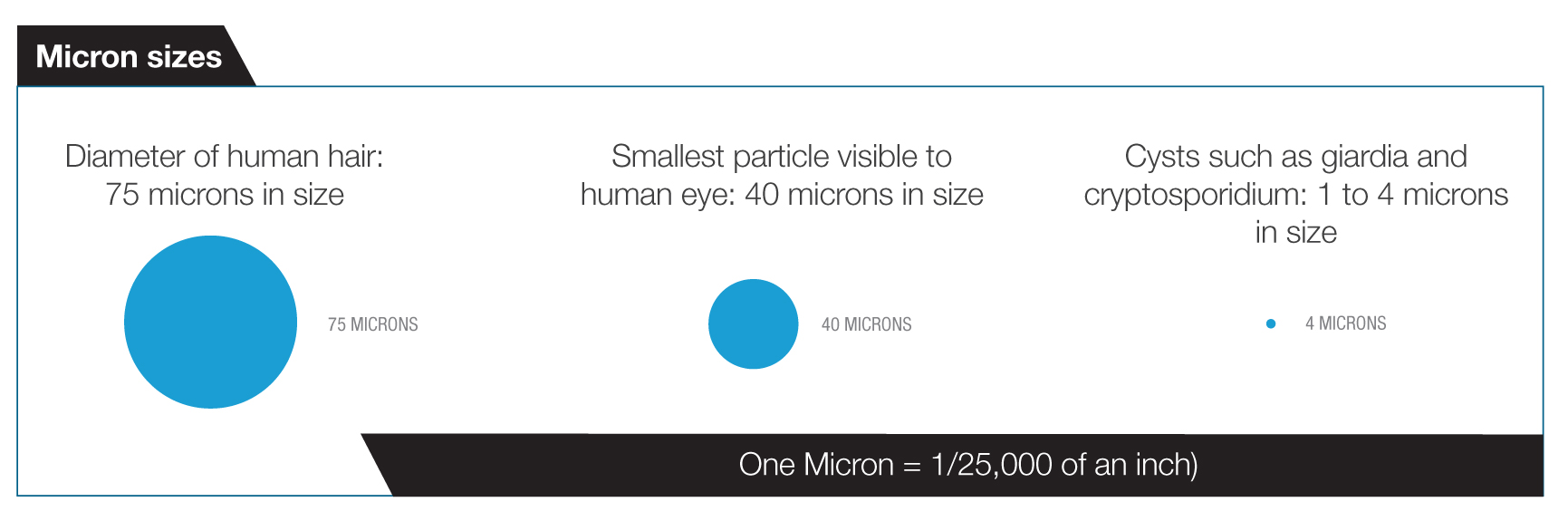 micron-size-graphic