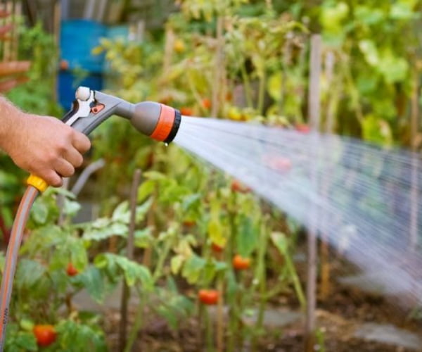 WFA - Level 1 restrictions Level 1 restrictions, what are they?