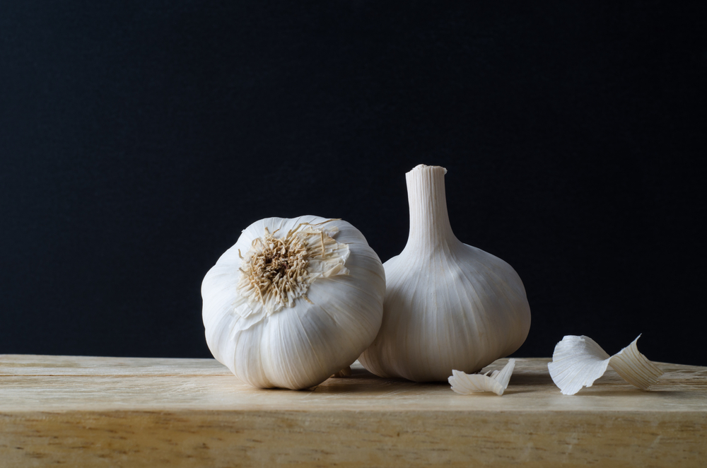 Munching on garlic Myth